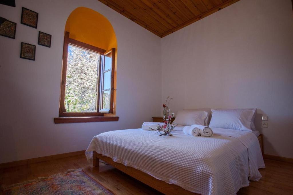 Eremia Rustic House - Entire Villa In Pelion Makrinítsa Eksteriør bilde