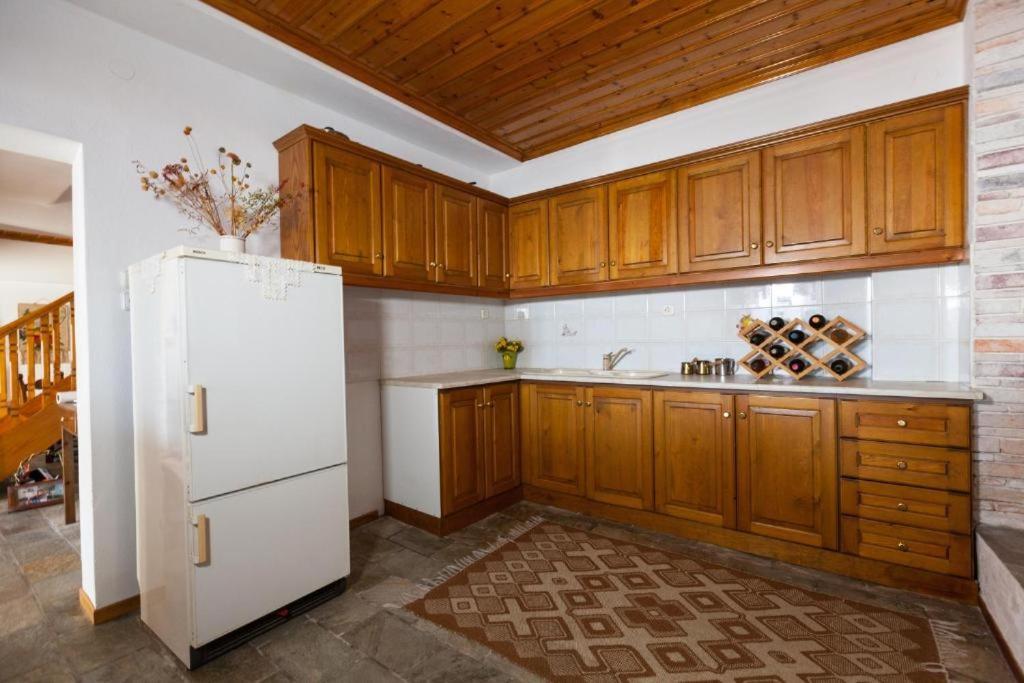 Eremia Rustic House - Entire Villa In Pelion Makrinítsa Eksteriør bilde