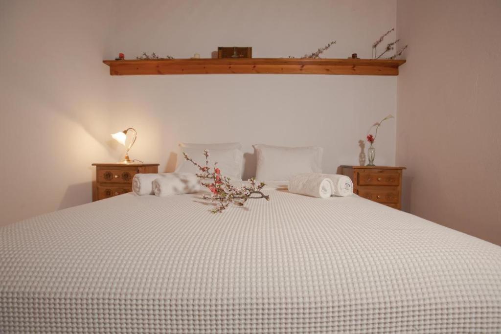 Eremia Rustic House - Entire Villa In Pelion Makrinítsa Eksteriør bilde