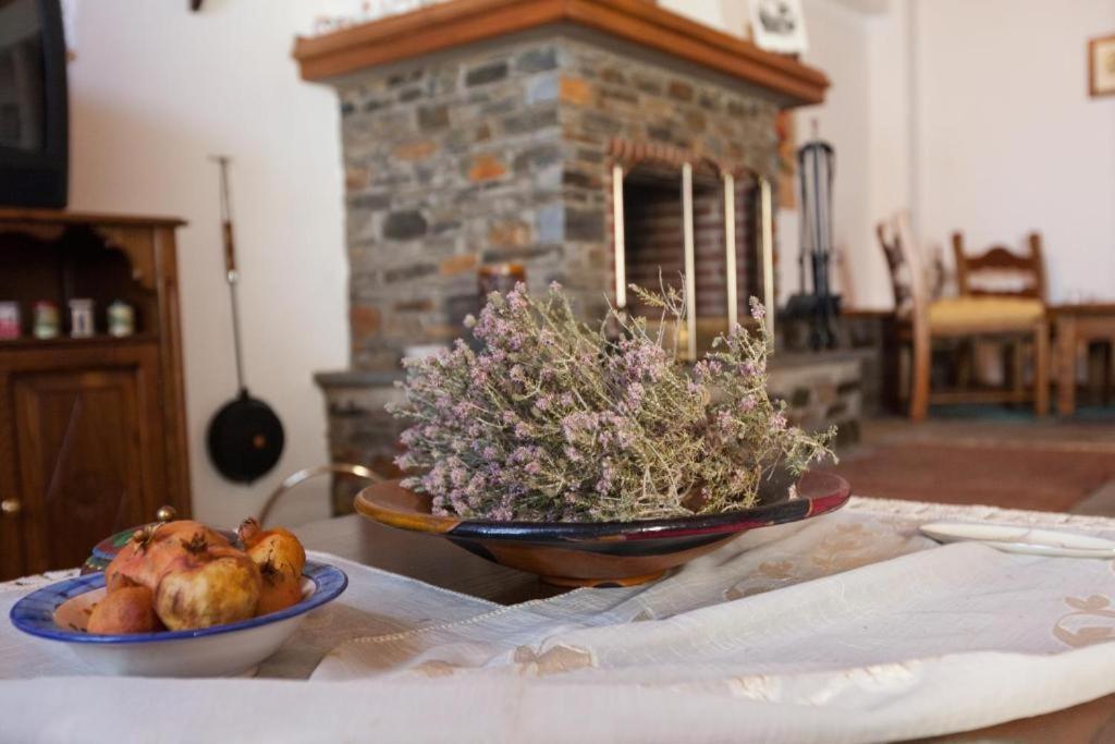 Eremia Rustic House - Entire Villa In Pelion Makrinítsa Eksteriør bilde
