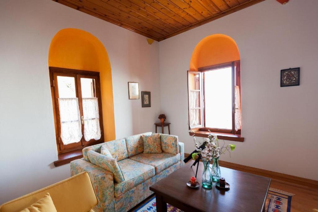 Eremia Rustic House - Entire Villa In Pelion Makrinítsa Eksteriør bilde